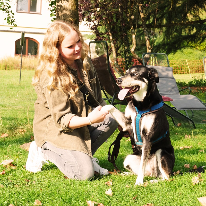 aufenthalt frau kniend mit hund